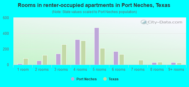 Rooms in renter-occupied apartments in Port Neches, Texas