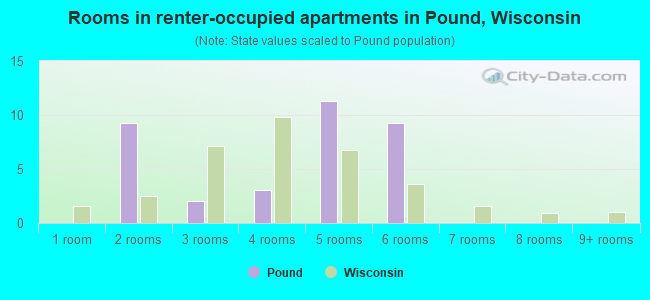Rooms in renter-occupied apartments in Pound, Wisconsin