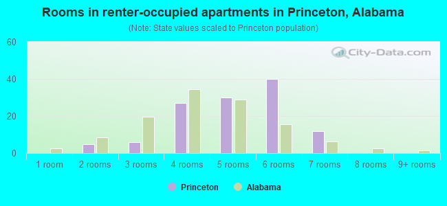 Rooms in renter-occupied apartments in Princeton, Alabama