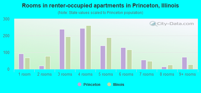 Rooms in renter-occupied apartments in Princeton, Illinois