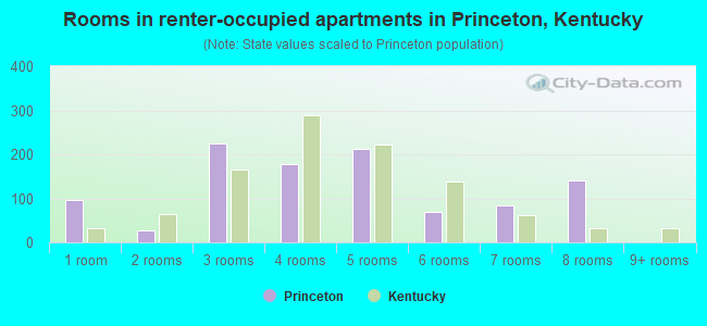 Rooms in renter-occupied apartments in Princeton, Kentucky