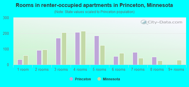 Rooms in renter-occupied apartments in Princeton, Minnesota