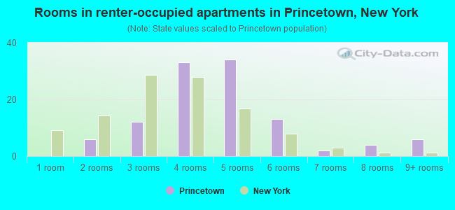 Rooms in renter-occupied apartments in Princetown, New York