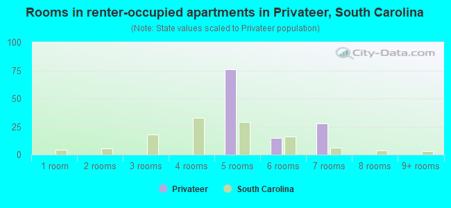 Rooms in renter-occupied apartments in Privateer, South Carolina