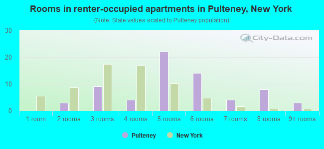 Rooms in renter-occupied apartments in Pulteney, New York