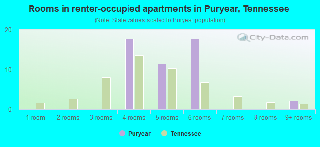 Rooms in renter-occupied apartments in Puryear, Tennessee
