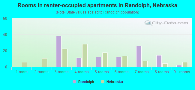 Rooms in renter-occupied apartments in Randolph, Nebraska