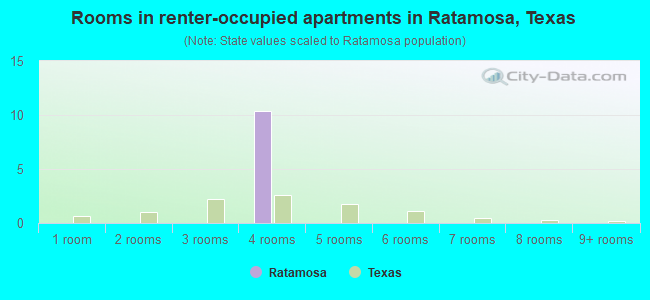 Rooms in renter-occupied apartments in Ratamosa, Texas