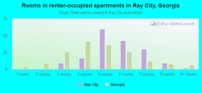 Rooms in renter-occupied apartments in Ray City, Georgia