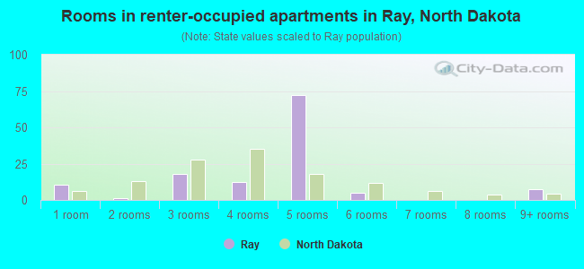 Rooms in renter-occupied apartments in Ray, North Dakota