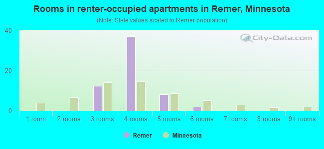 Rooms in renter-occupied apartments in Remer, Minnesota