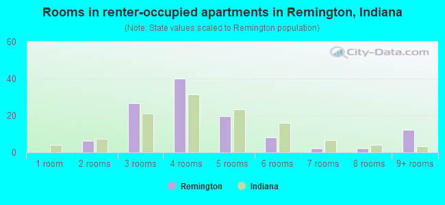 Rooms in renter-occupied apartments in Remington, Indiana