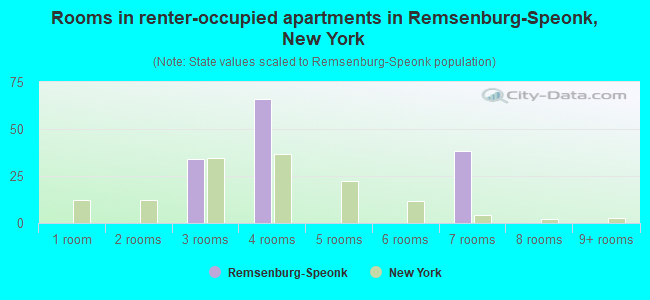 Rooms in renter-occupied apartments in Remsenburg-Speonk, New York