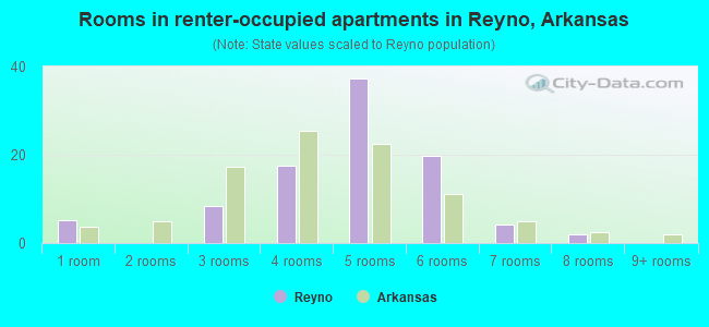 Rooms in renter-occupied apartments in Reyno, Arkansas