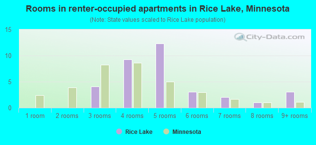 Rooms in renter-occupied apartments in Rice Lake, Minnesota