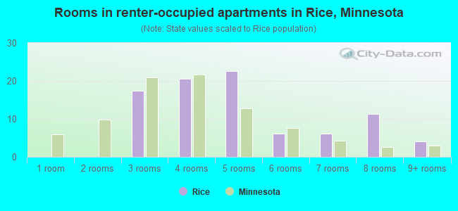 Rooms in renter-occupied apartments in Rice, Minnesota