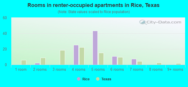 Rooms in renter-occupied apartments in Rice, Texas