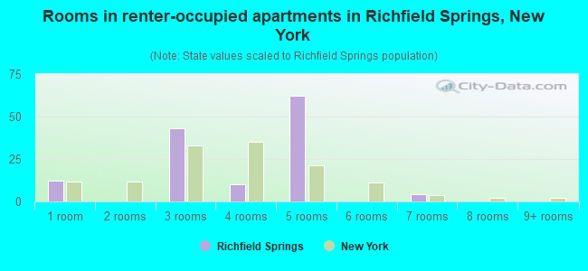Rooms in renter-occupied apartments in Richfield Springs, New York