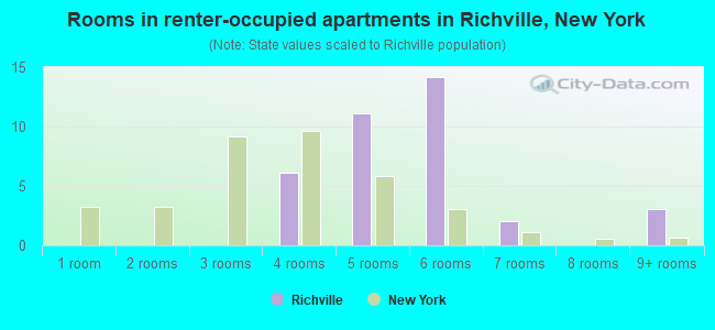 Rooms in renter-occupied apartments in Richville, New York