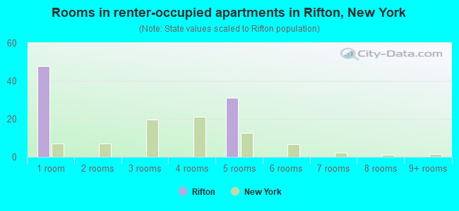 Rooms in renter-occupied apartments in Rifton, New York