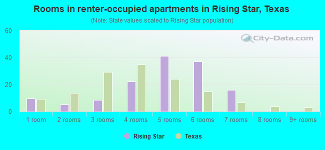 Rooms in renter-occupied apartments in Rising Star, Texas