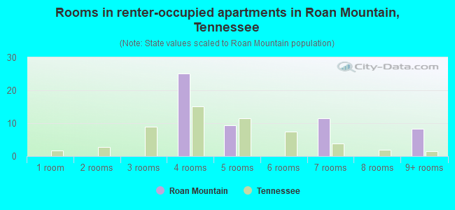 Rooms in renter-occupied apartments in Roan Mountain, Tennessee