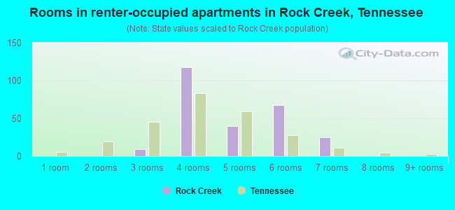 Rooms in renter-occupied apartments in Rock Creek, Tennessee
