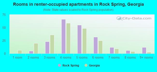 Rooms in renter-occupied apartments in Rock Spring, Georgia