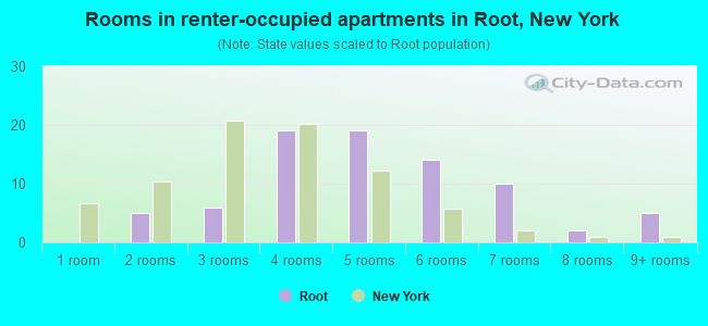 Rooms in renter-occupied apartments in Root, New York