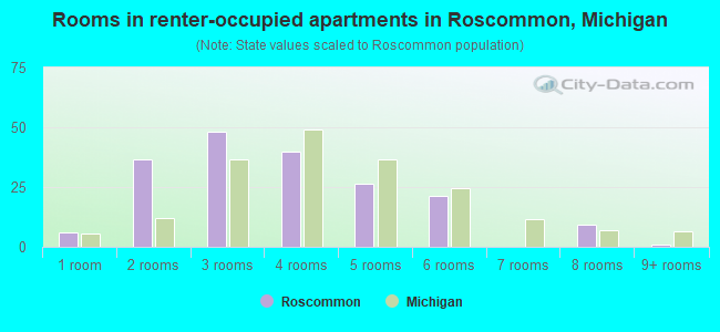 Rooms in renter-occupied apartments in Roscommon, Michigan