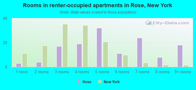 Rooms in renter-occupied apartments in Rose, New York