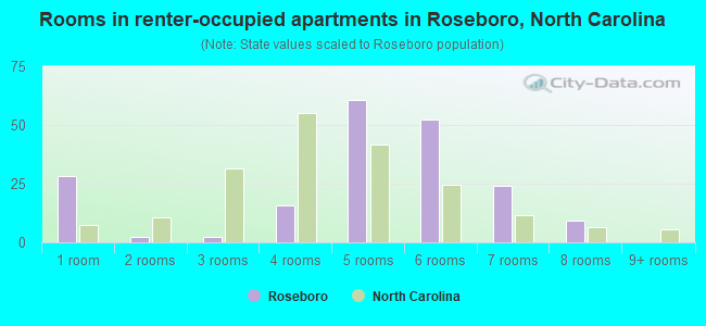 Rooms in renter-occupied apartments in Roseboro, North Carolina
