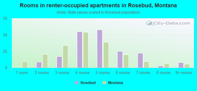 Rooms in renter-occupied apartments in Rosebud, Montana