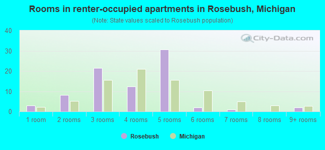 Rooms in renter-occupied apartments in Rosebush, Michigan