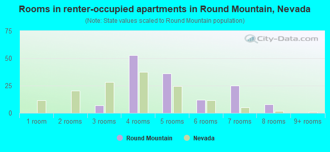 Rooms in renter-occupied apartments in Round Mountain, Nevada