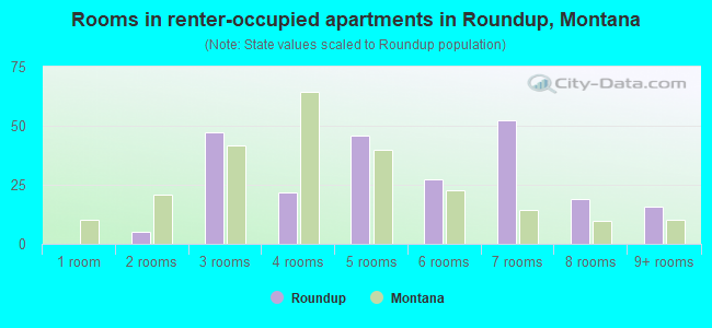 Rooms in renter-occupied apartments in Roundup, Montana