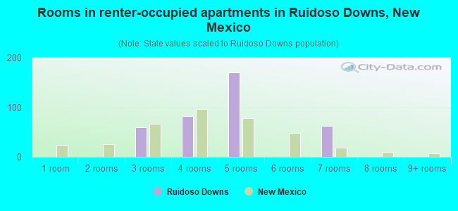 Rooms in renter-occupied apartments in Ruidoso Downs, New Mexico