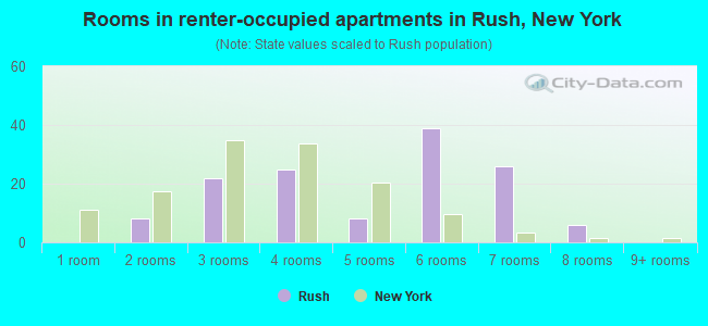 Rooms in renter-occupied apartments in Rush, New York
