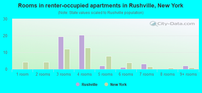 Rooms in renter-occupied apartments in Rushville, New York