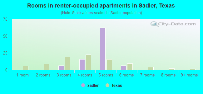Rooms in renter-occupied apartments in Sadler, Texas