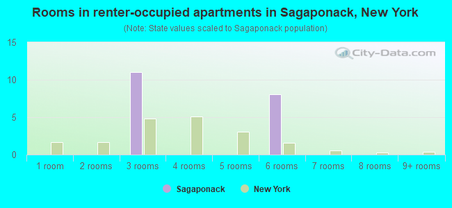 Rooms in renter-occupied apartments in Sagaponack, New York