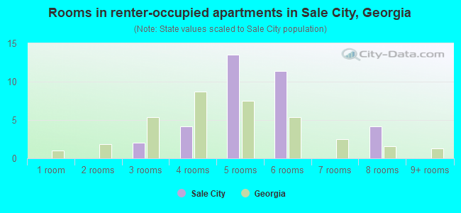 Rooms in renter-occupied apartments in Sale City, Georgia