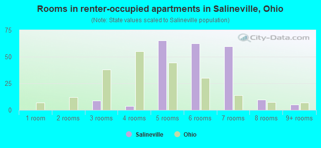Rooms in renter-occupied apartments in Salineville, Ohio