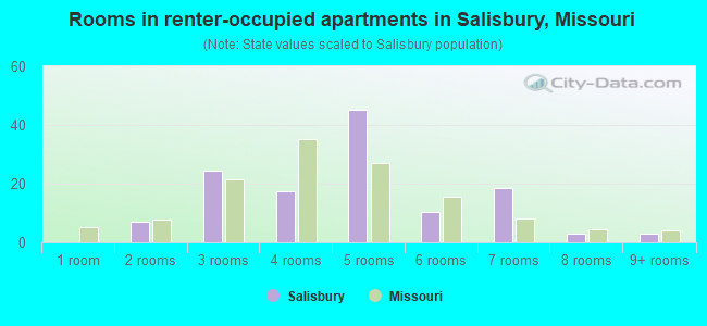 Rooms in renter-occupied apartments in Salisbury, Missouri