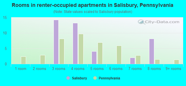 Rooms in renter-occupied apartments in Salisbury, Pennsylvania
