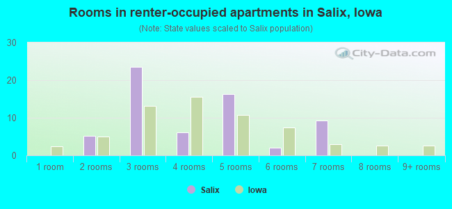 Rooms in renter-occupied apartments in Salix, Iowa