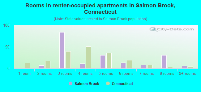 Rooms in renter-occupied apartments in Salmon Brook, Connecticut