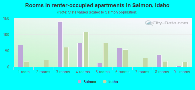 Rooms in renter-occupied apartments in Salmon, Idaho