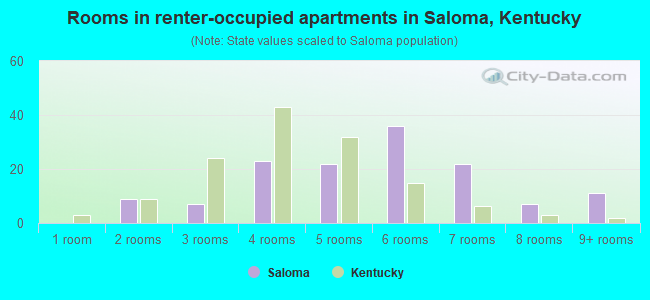 Rooms in renter-occupied apartments in Saloma, Kentucky