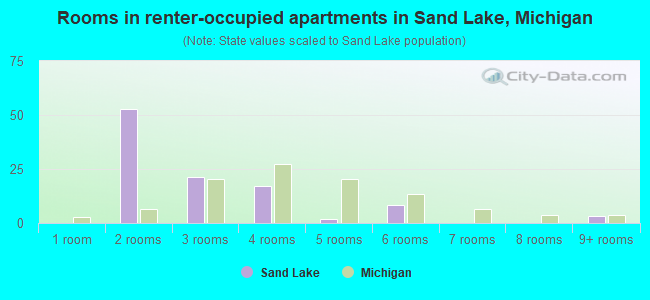 Rooms in renter-occupied apartments in Sand Lake, Michigan